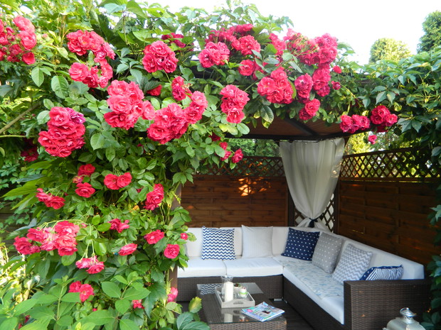 zacieniona altana na wypoczynek w upalne dni