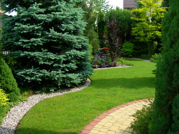 zadbane obrzeża rabat są moją dumą