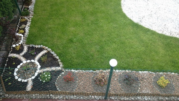 Żurawki i berberysy ładnie się komponują