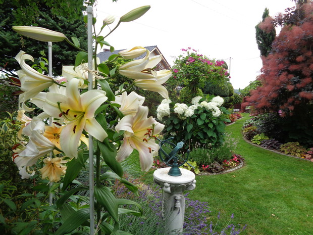 A każdy kwiat rosnący w ogrodzie i zmagający się z prawami natury jest sto razy piękniejszy niż ten, który tylko pręży się w wazonie...