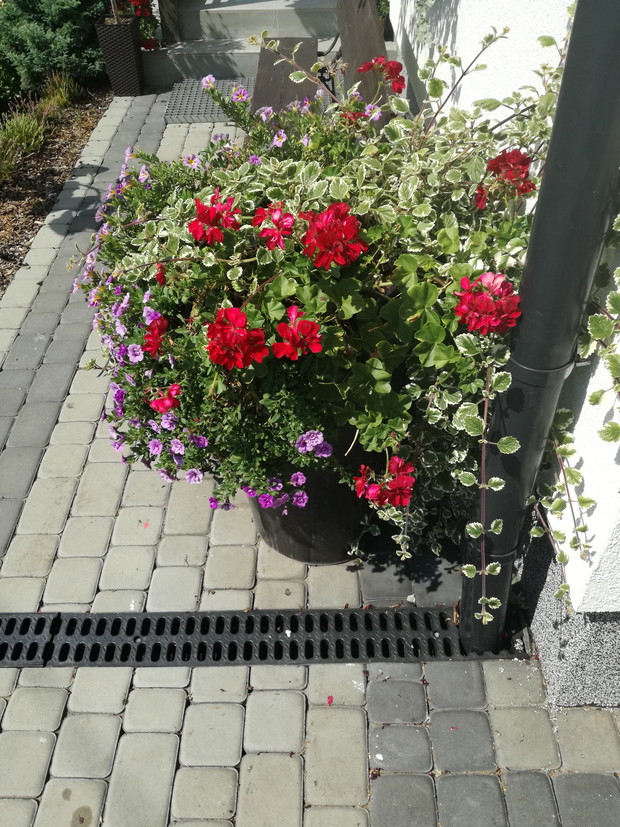 A przy wjezdzie witaja wielkie donice pelne jak wodospad.