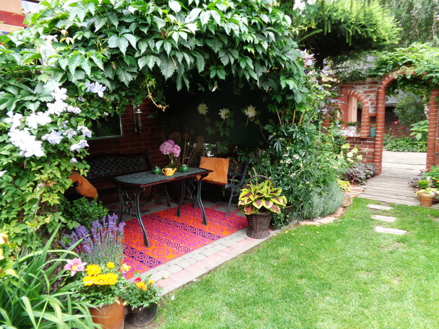 Aranżacja ogrodu jest silnie rosnący i pnący winobluszcz pięciolistkowy, zwany dzikim winem okrywa naszą altankę nazywamy ją "zieloną muszlą"