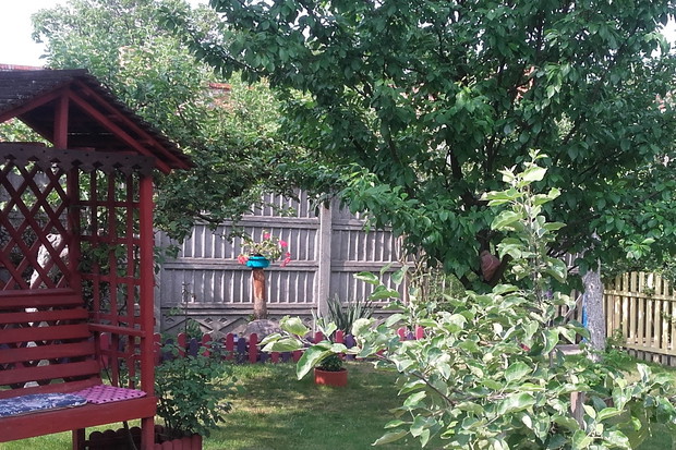 chwila relaksu wśród jabłoni i mała ławeczka wykonana przez mojego męża