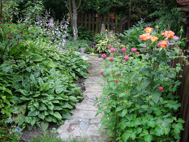 Cienista rabata z hostami i żurawkami prowadząca do warzywnika