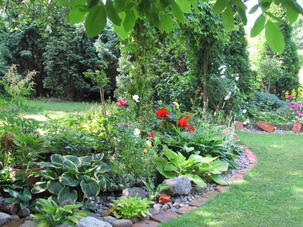 Cienista rabata z hostami