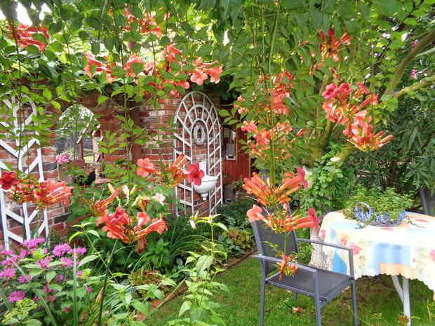 Dla mnie najmilszy zakatek ogrodu :) <3