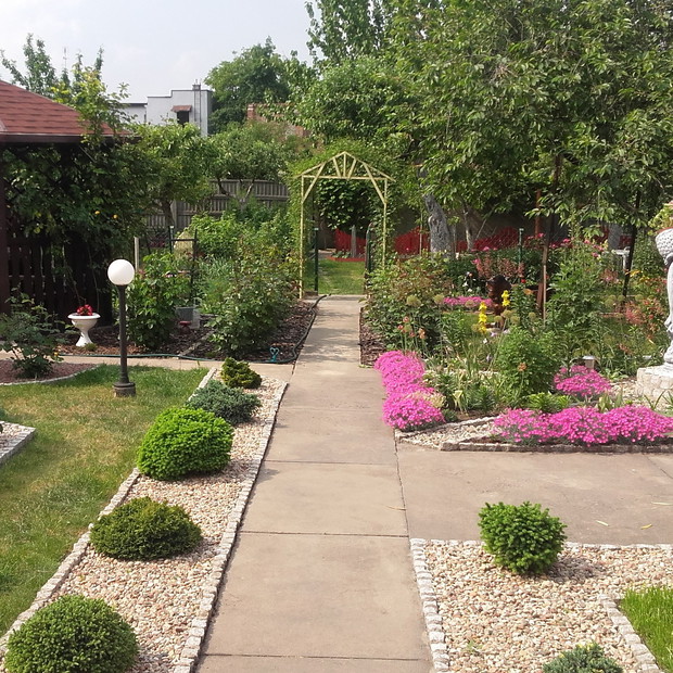 główna alejka wczesną wiosną