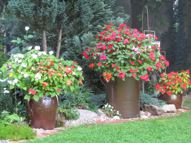 Kamionkowe dzbany jako osłonki donic z niecierpkami