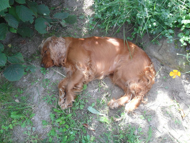 każdy może się zrelaksować