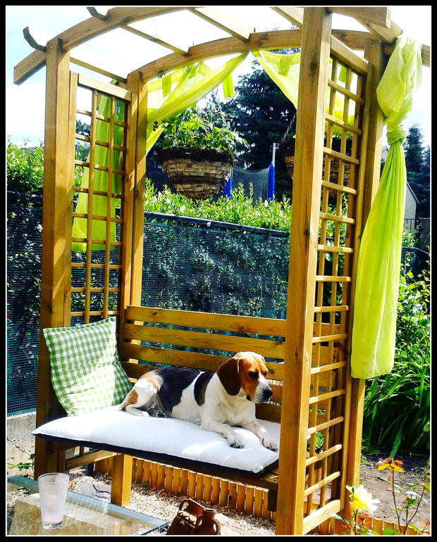 Każdy potrzebuje chwili spokoju :))