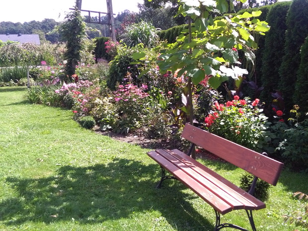 Letnia rabata kwiatowa