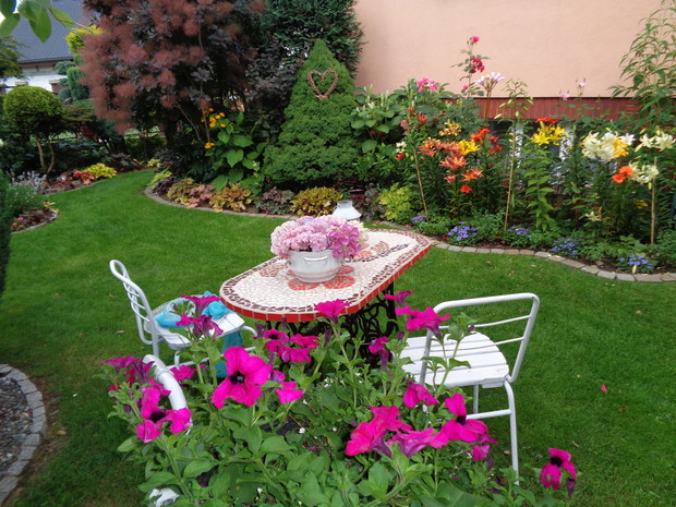 Lilie kwitną a do tego pięknie pachną wieczorami w ogrodzie można zobaczyć i przysiądz...:)