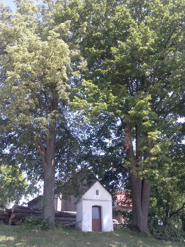 Lipy z kapliczką