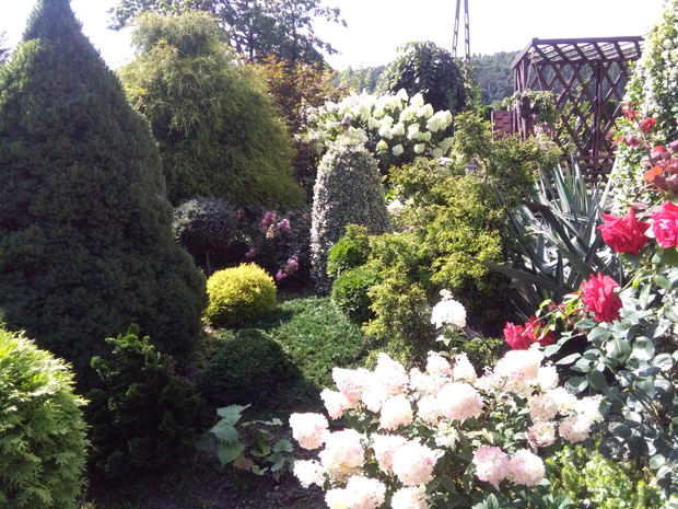 Najstarsze miejsce w ogrodzie