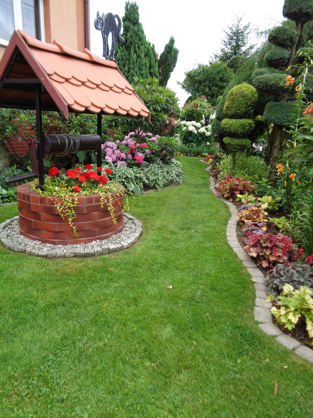 Od samego początku w naszym ogrodzie królują wyjątkowe, piękne byliny na imię mają żurawki rosnące w cienistych miejscach, słonecznych miejscach ogrodu.