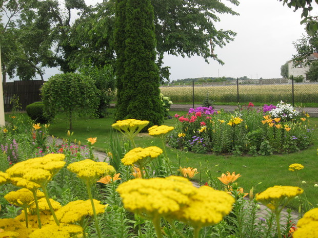 Ogród w pełni lata.