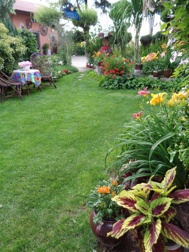 Pięknego radosnego dnia korzystajmy z uroków przyrody :)