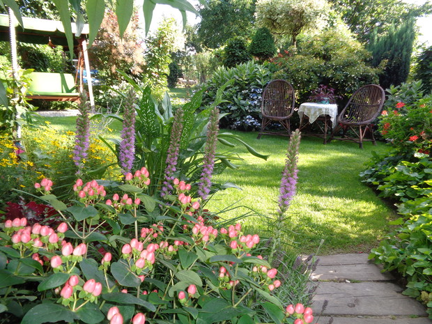 Piękności lata - liatra i dziurawiec w slonecznej tafli.