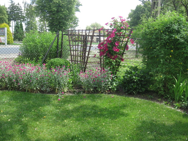 Powojnik Stefan Wyszyński.