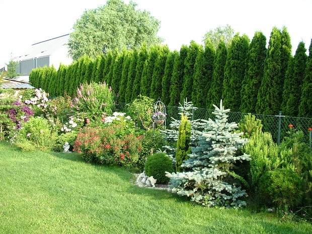 Prawa strona ogrodu, a właściwie tylko jej część