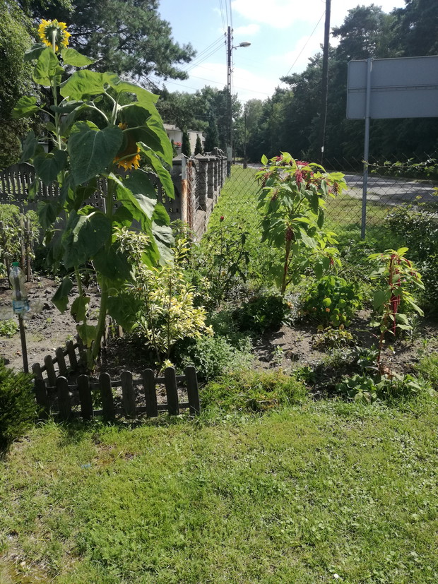 Przy drodze spotkac mozemy same ciekawostki.