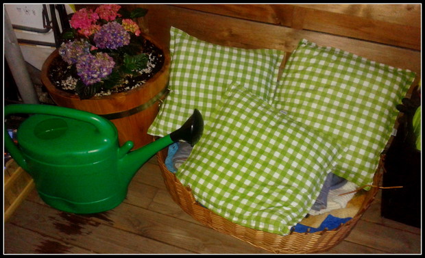 Psy też lubią stylowo wypoczywać :))