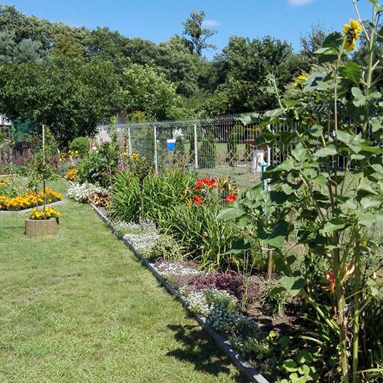 Rabata na moje rarytasy