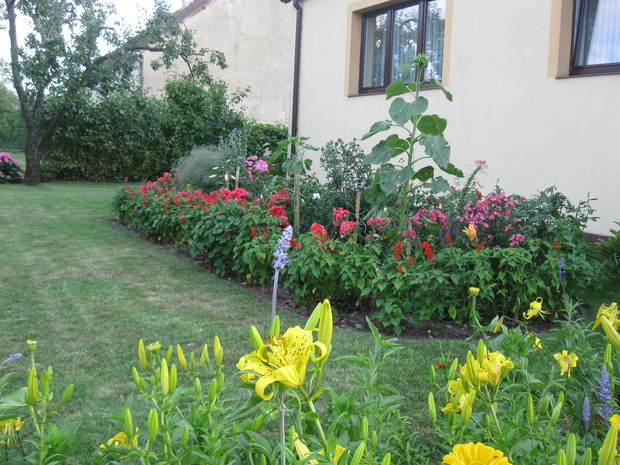 Rabata tonie w kwiatach.