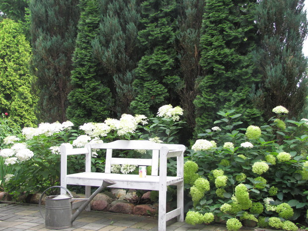 Rabata z hortensjami 