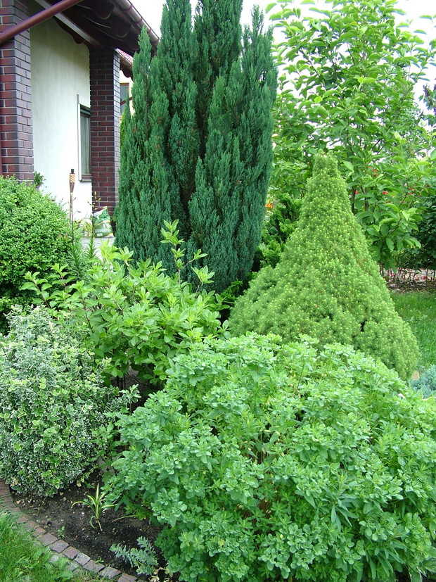 Rabata z przodu ogrodu