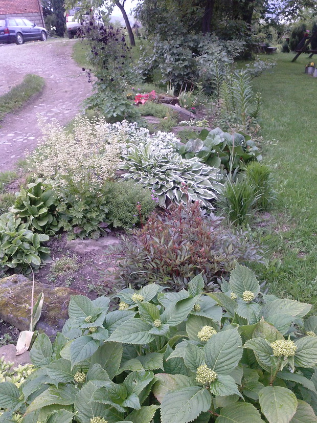 Rabatka pod drogą prowadząca na podwórko