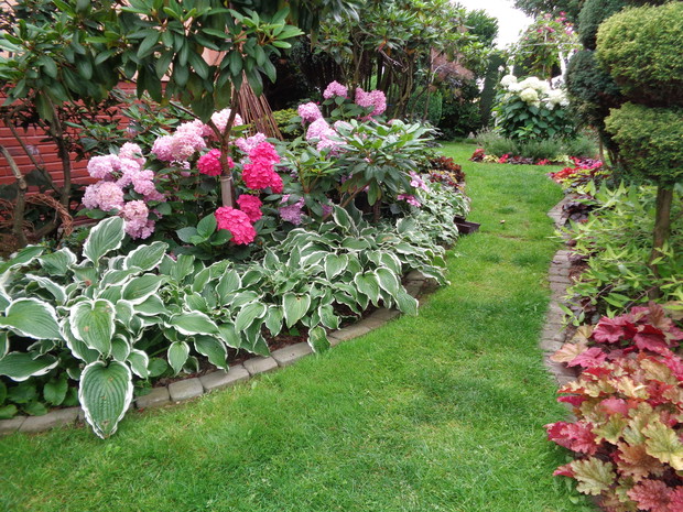 Rózaneczniki, hortensje i hosty dają swoje piękno.