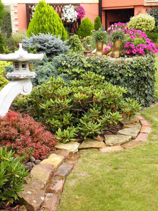 studnia porośnięta bluszczem zimozielonym