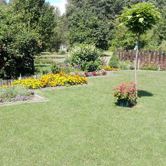 Trójkąt do trójkata