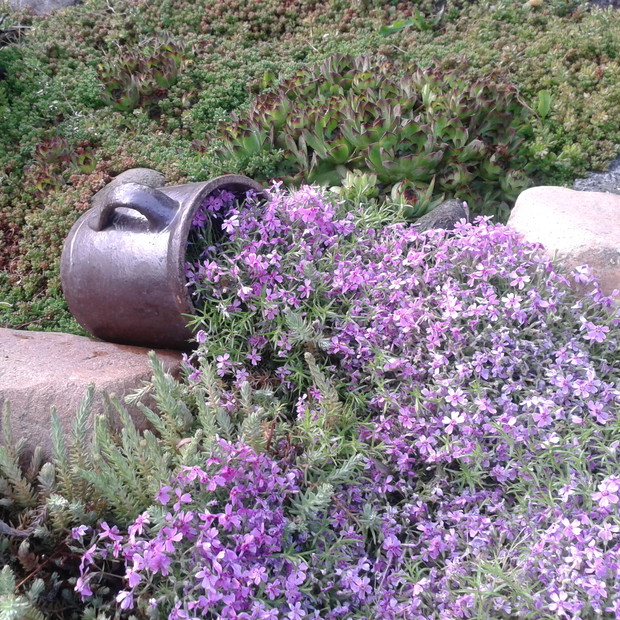 .... troszkę się rozlało....