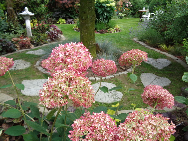 W ogrodzie można znalezć wiele ścieżek i uroczych zakątków, które prowadzą gościa w coraz to nowe miejsca w ogrodzie.