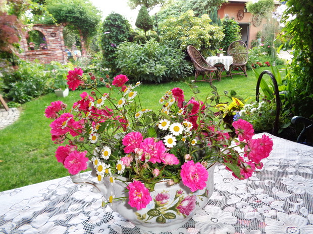 Widoczek na poludniową stronę ogrodu w tle hortensje :)