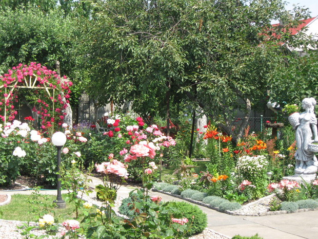 widok z boku ( lewa strona)