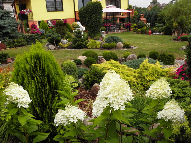 widok z końca skalniaka na część ogrodu 