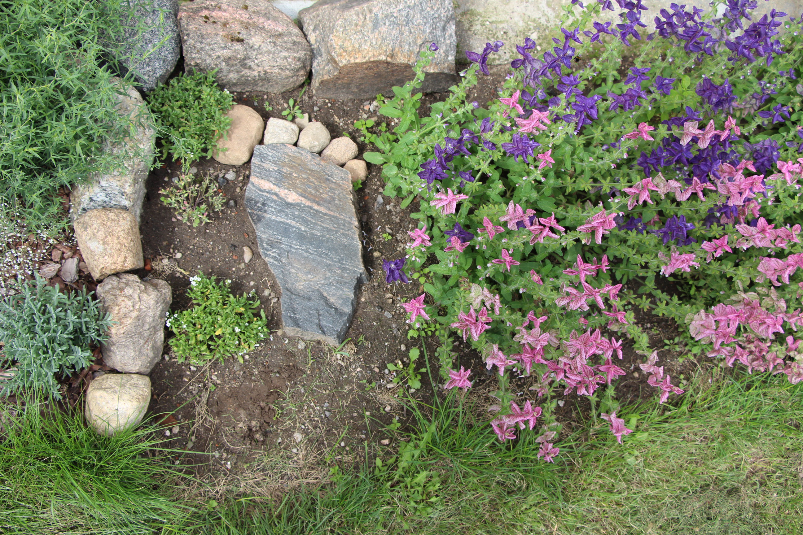 Wielka stopa...aby dziadek nie deptał kwiatków podchodząc do okna.