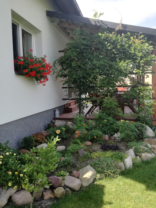 Wisteria i szum lisci.