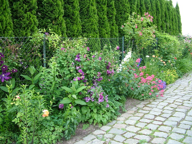 Wjazd również w otoczeniu kwitnących