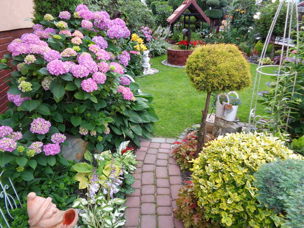 Wschodni ogród, sloneczko tutaj rano wstaje...