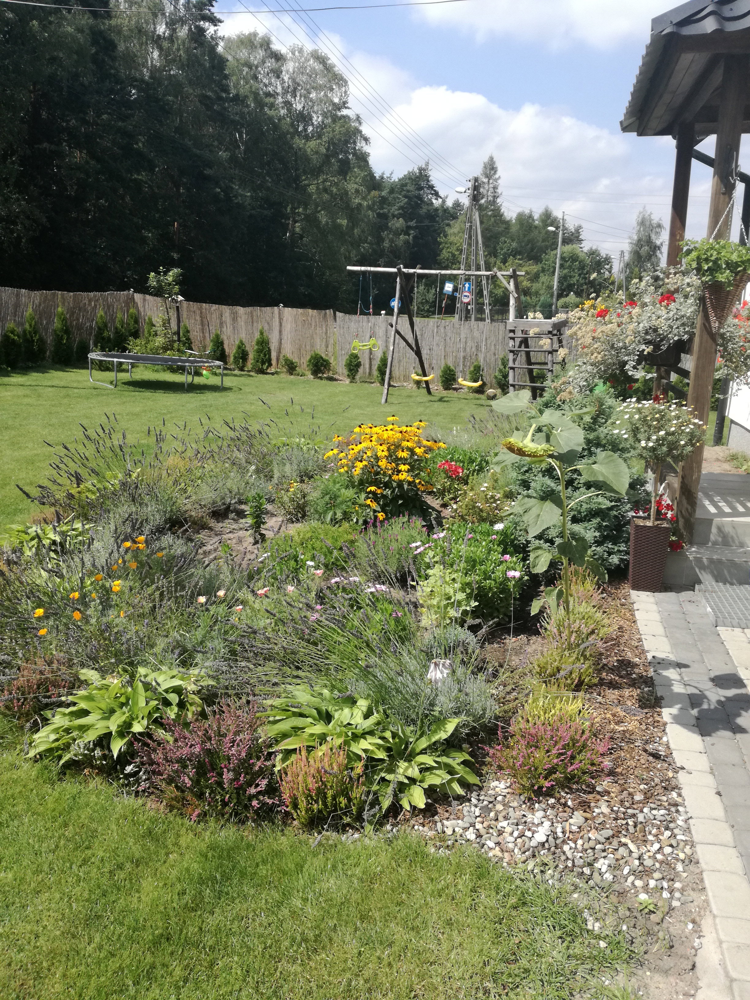 Wspaniale miejsce dla owadow.