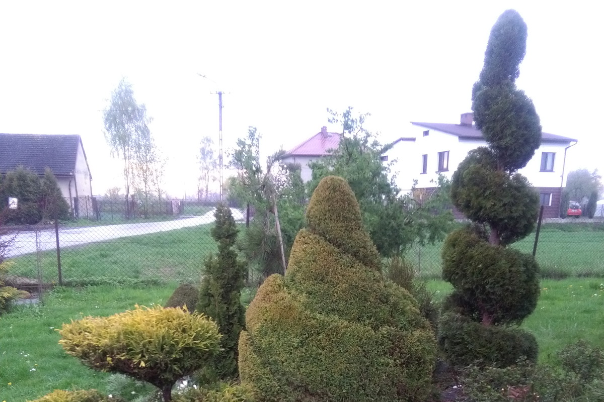 Zabawa formą