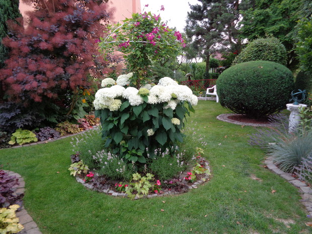 Zachodnia część ogrodu najpiękniejsza przy zachodzie słońca...