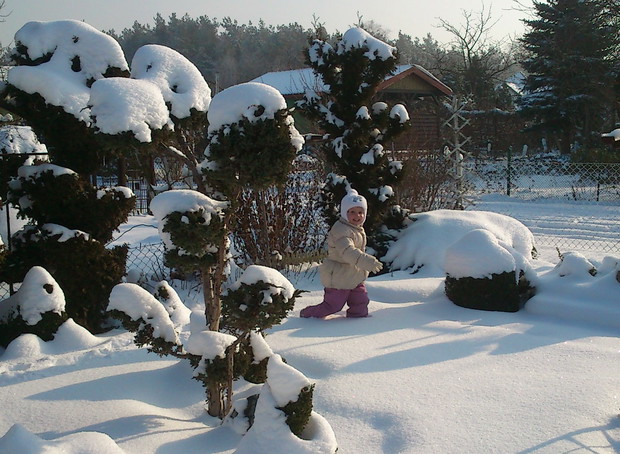 a zimą w śniegu bajecznie