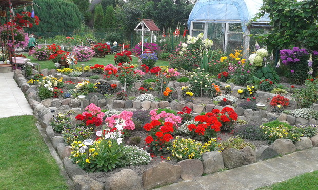 Aż miło popatrzeć jak wszystko kwitnie