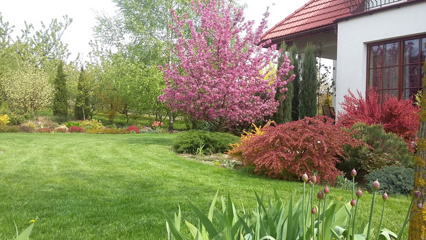 Barwna rabata przed domem w maju.