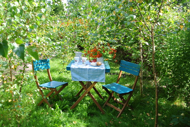 brzózki już tak urosły, że też dają wysarczającą ilość cienia